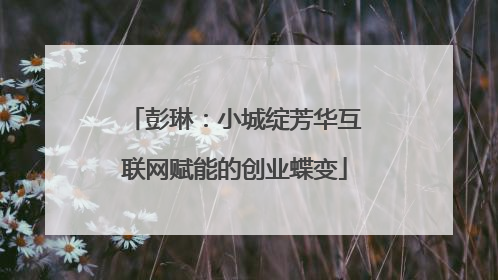 彭琳：小城绽芳华互联网赋能的创业蝶变