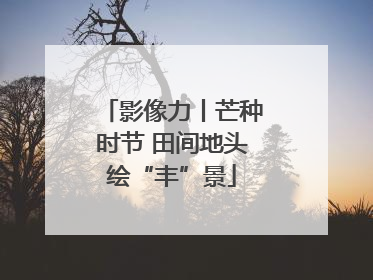 影像力丨芒种时节 田间地头绘“丰”景