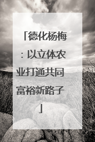 德化杨梅：以立体农业打通共同富裕新路子