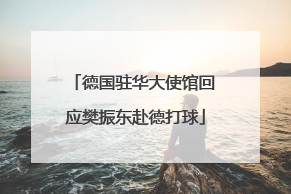 德国驻华大使馆回应樊振东赴德打球