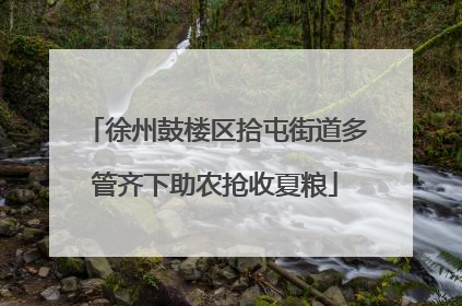 徐州鼓楼区拾屯街道多管齐下助农抢收夏粮
