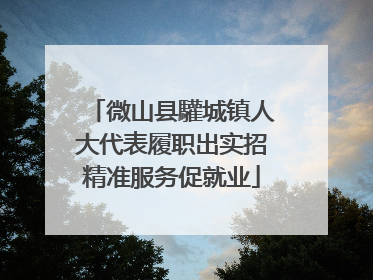 微山县驩城镇人大代表履职出实招精准服务促就业