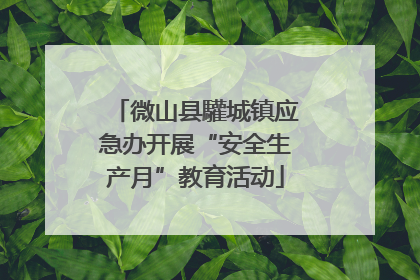 微山县驩城镇应急办开展“安全生产月”教育活动