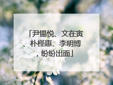 尹锡悦、文在寅、朴槿惠、李明博，纷纷出面