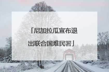 尼加拉瓜宣布退出联合国难民署
