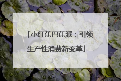 小红蕉巴蕉派：引领生产性消费新变革