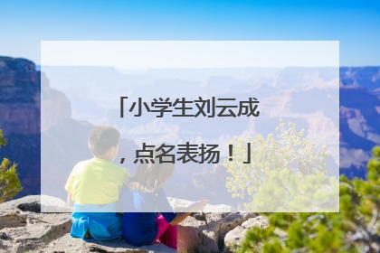 小学生刘云成，点名表扬！