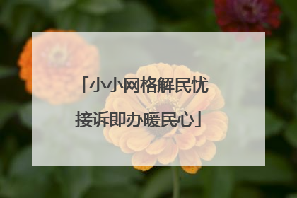 小小网格解民忧 接诉即办暖民心