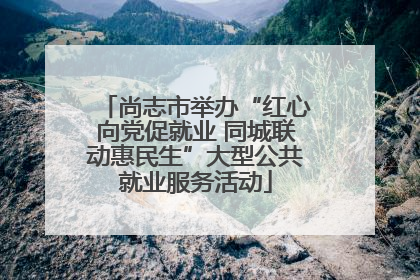 尚志市举办“红心向党促就业 同城联动惠民生”大型公共就业服务活动