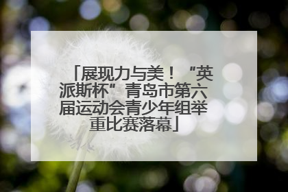 展现力与美！“英派斯杯”青岛市第六届运动会青少年组举重比赛落幕