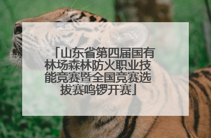 山东省第四届国有林场森林防火职业技能竞赛暨全国竞赛选拔赛鸣锣开赛