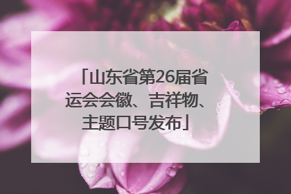 山东省第26届省运会会徽、吉祥物、主题口号发布
