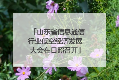 山东省信息通信行业低空经济发展大会在日照召开
