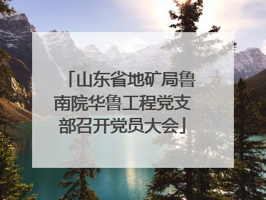 山东省地矿局鲁南院华鲁工程党支部召开党员大会