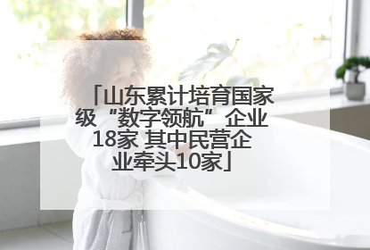 山东累计培育国家级“数字领航”企业18家 其中民营企业牵头10家