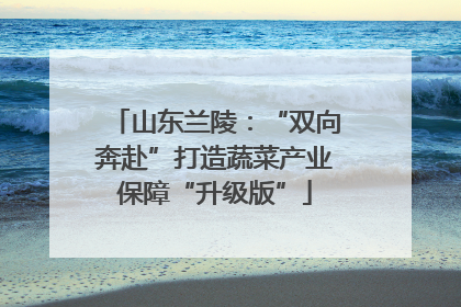 山东兰陵：“双向奔赴”打造蔬菜产业保障“升级版”