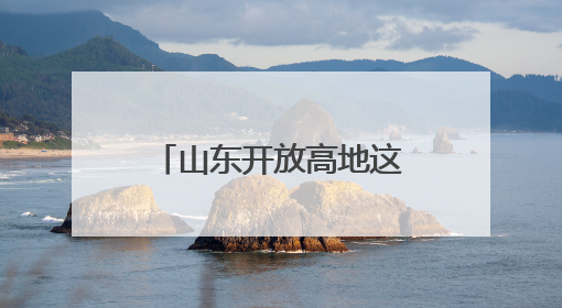 山东开放高地这样炼成：港口“CP”出道，中欧班列跑出加速度