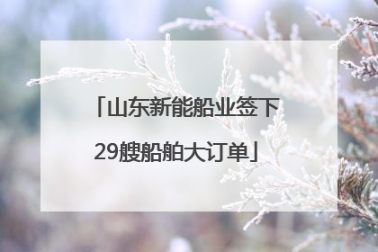 山东新能船业签下29艘船舶大订单