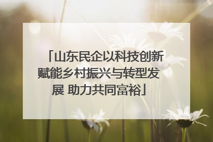 山东民企以科技创新赋能乡村振兴与转型发展 助力共同富裕