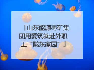 山东能源枣矿集团用爱筑就赴外职工“陇东家园”