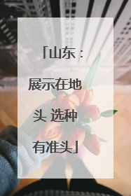 山东：展示在地头 选种有准头