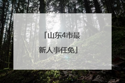 山东4市最新人事任免
