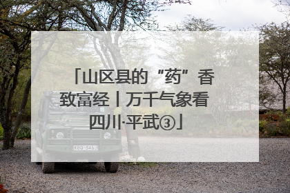 山区县的“药”香致富经丨万千气象看四川·平武③