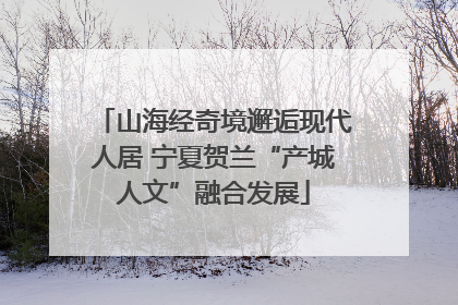 山海经奇境邂逅现代人居 宁夏贺兰“产城人文”融合发展
