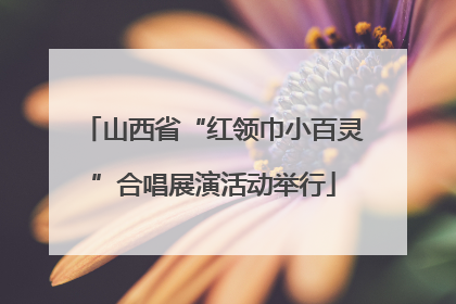 山西省“红领巾小百灵”合唱展演活动举行