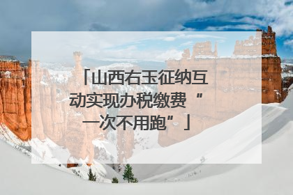 山西右玉征纳互动实现办税缴费“一次不用跑”
