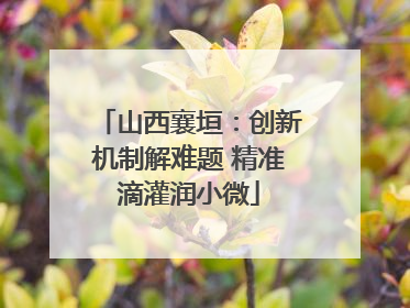 山西襄垣：创新机制解难题 精准滴灌润小微