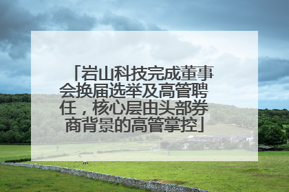 岩山科技完成董事会换届选举及高管聘任，核心层由头部券商背景的高管掌控