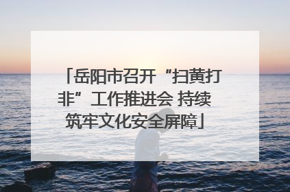岳阳市召开“扫黄打非”工作推进会 持续筑牢文化安全屏障