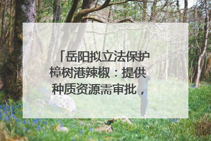 岳阳拟立法保护樟树港辣椒：提供种质资源需审批，违规最高罚5万