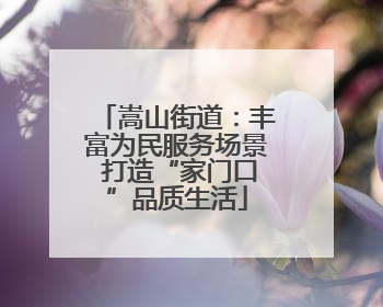 嵩山街道：丰富为民服务场景 打造“家门口”品质生活