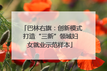 巴林右旗：创新模式 打造“三新”领域妇女就业示范样本