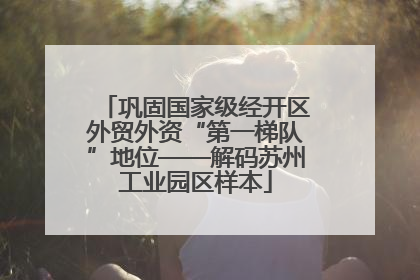 巩固国家级经开区外贸外资“第一梯队”地位——解码苏州工业园区样本