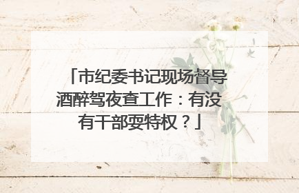 市纪委书记现场督导酒醉驾夜查工作：有没有干部耍特权？