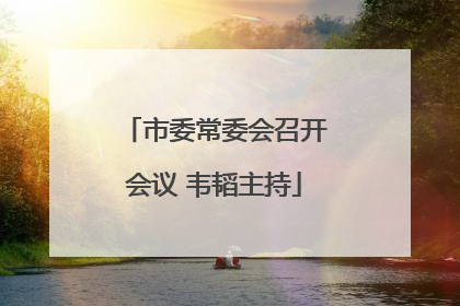 市委常委会召开会议 韦韬主持