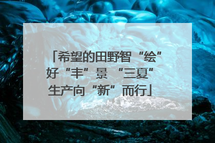 希望的田野智“绘”好“丰”景 “三夏”生产向“新”而行