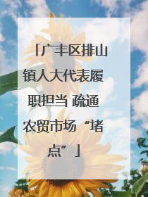 广丰区排山镇人大代表履职担当 疏通农贸市场“堵点”