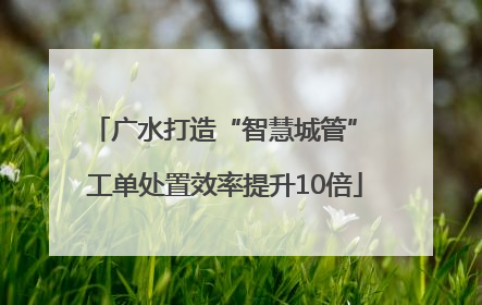 广水打造“智慧城管” 工单处置效率提升10倍