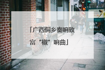 广西侗乡奏响致富“椒”响曲