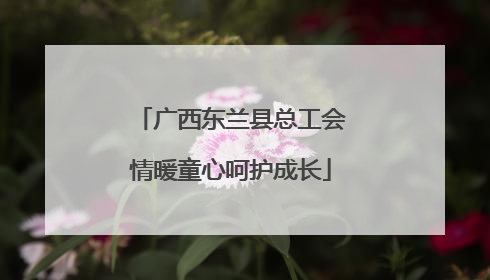 广西东兰县总工会情暖童心呵护成长