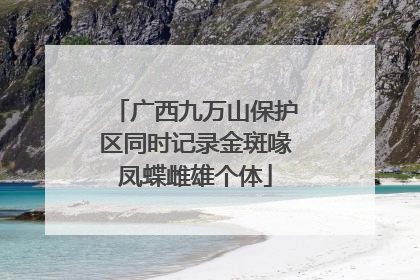 广西九万山保护区同时记录金斑喙凤蝶雌雄个体