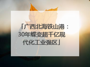 广西北海铁山港：30年蝶变超千亿现代化工业强区