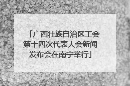 广西壮族自治区工会第十四次代表大会新闻发布会在南宁举行