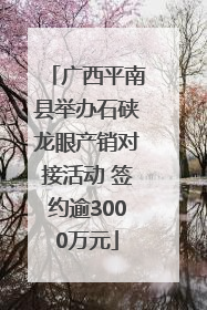 广西平南县举办石硖龙眼产销对接活动 签约逾3000万元