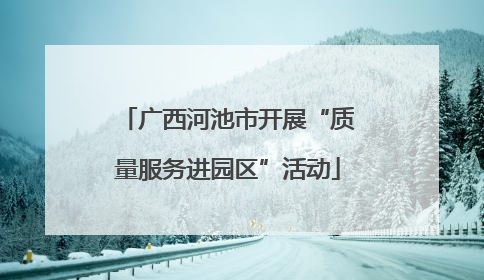 广西河池市开展“质量服务进园区”活动