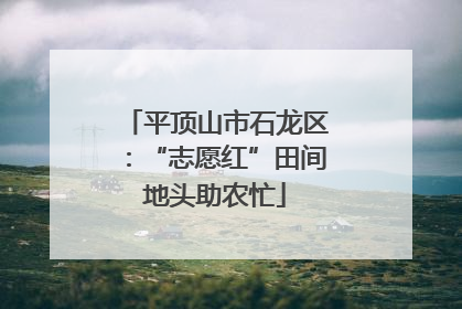 平顶山市石龙区：“志愿红”田间地头助农忙